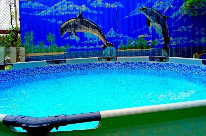 Изображение Изображение гостиницы "Дача «Сафари»" #2 #2