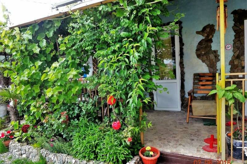 Изображение Изображение гостиницы "Дача «Сафари»" #7 #7