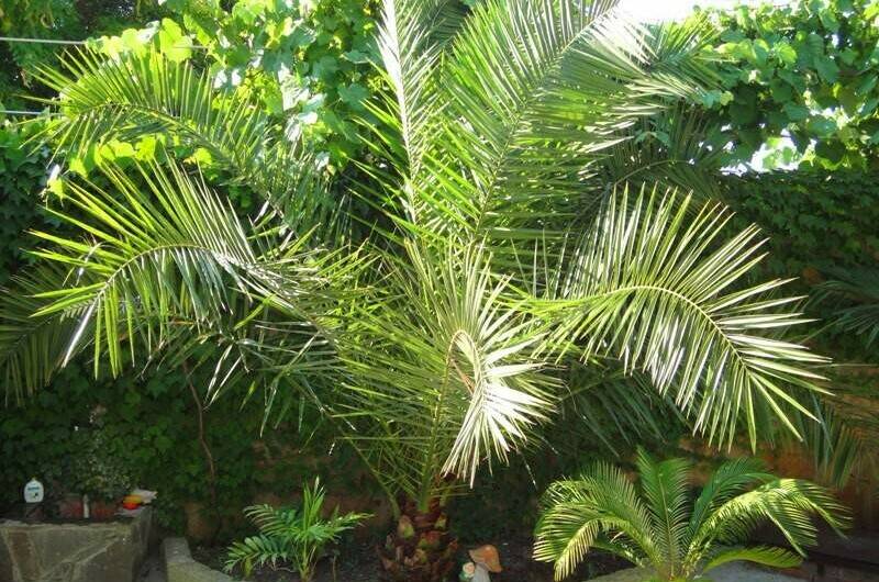 Изображение Изображение отеля / гостиницы "Гостевой дом «Семейный очаг»" #10 #8