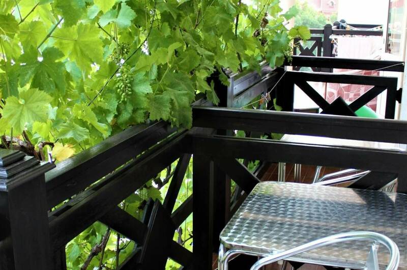 Изображение Изображение гостиницы &quot;Гостевой дом «Афродита»&quot; #2 #2