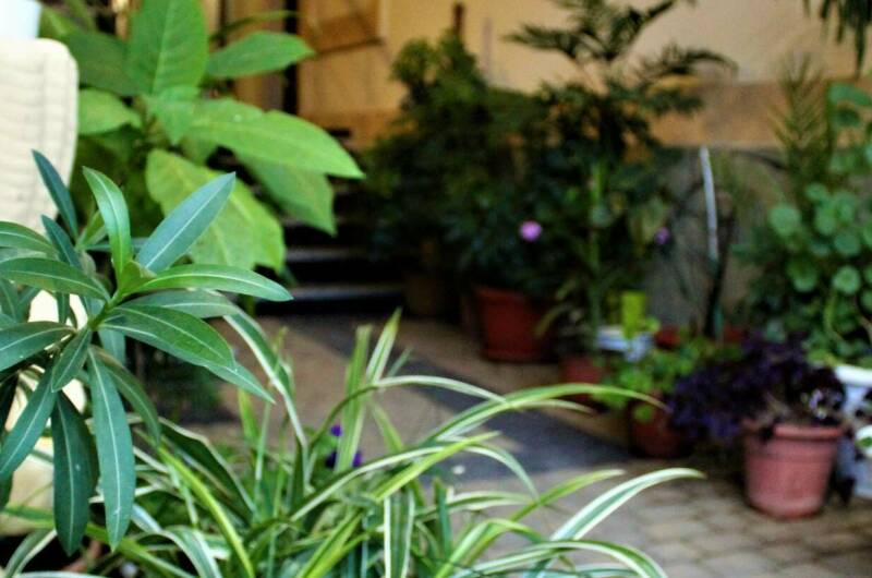 Изображение Изображение гостиницы &quot;Гостевой дом «Афродита»&quot; #6 #6