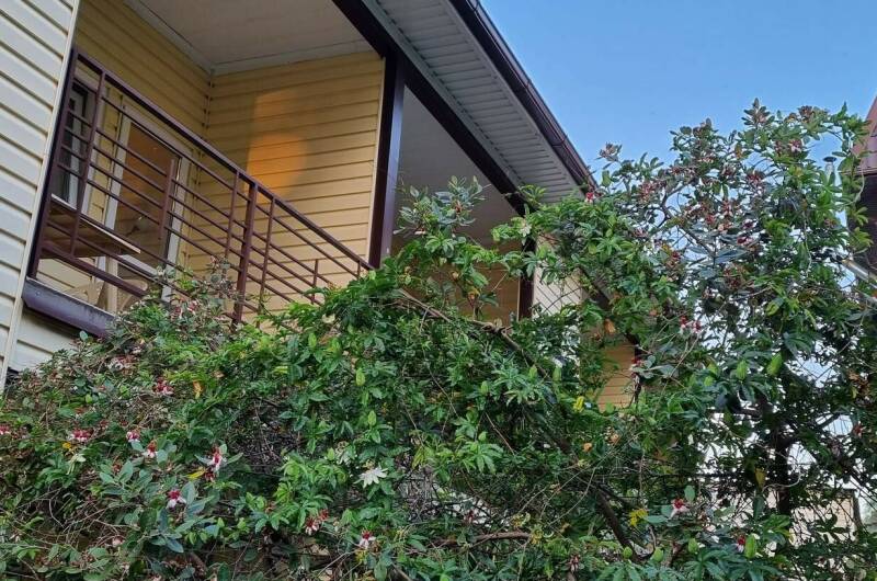 Изображение Изображение гостиницы &quot;Частное домовладение «Санрайз»&quot; #5 #5