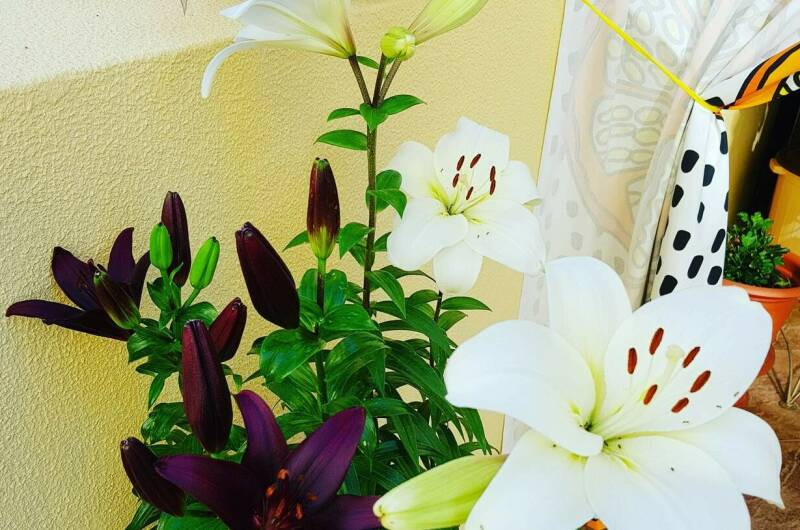 Изображение Изображение гостиницы &quot;Частное домовладение «Санрайз»&quot; #7 #7