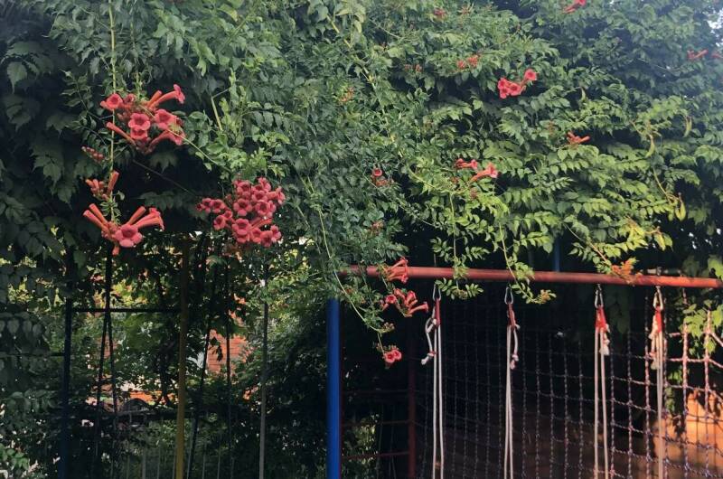 Изображение Изображение отеля / гостиницы "Семейный гостевой дом «100%»" #10 #8