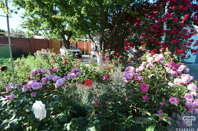 Изображение Изображение гостиницы &quot;Гостевой дом «Людмила»&quot; #6 #6