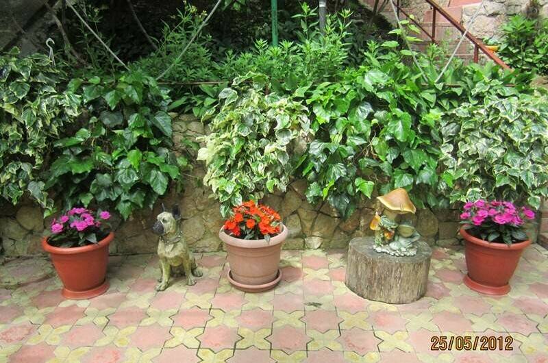 Изображение Изображение гостиницы &quot;Частный сектор «Райский уголок»&quot; #5 #5