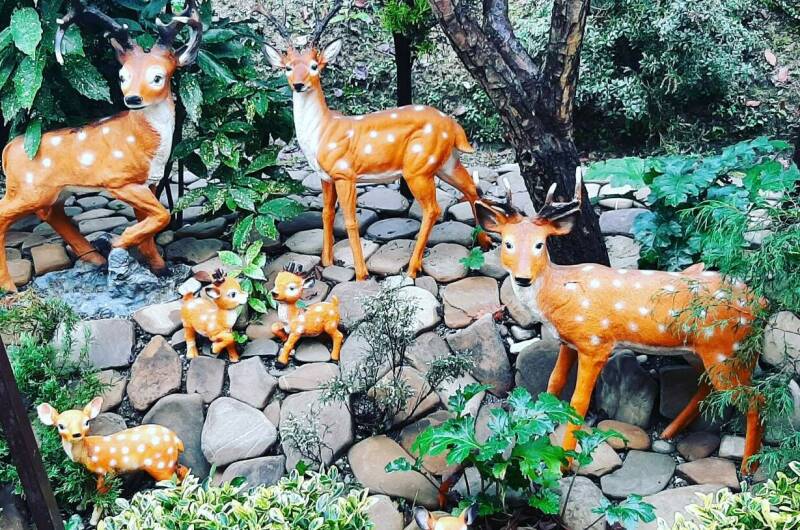 Изображение Изображение отеля / гостиницы "Частный сектор «Райский уголок»" #11 #9