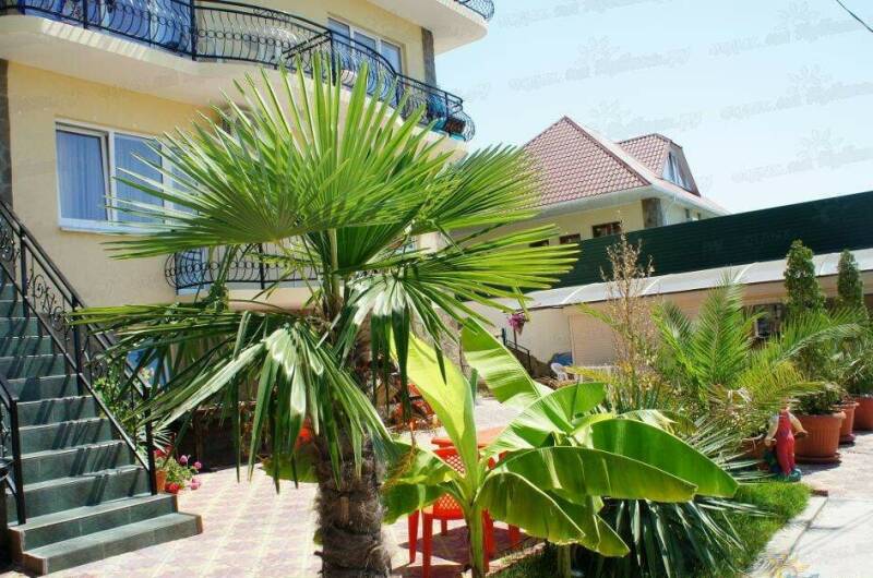 Изображение Изображение гостиницы &quot;Гостевой дом «Атриум»&quot; #8 #8