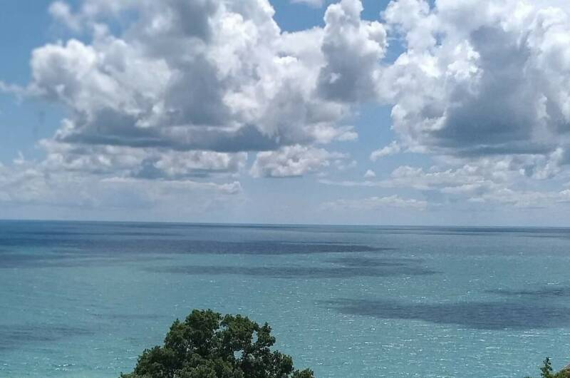 Изображение Изображение гостиницы "Частный дом «Мандариновый сад»" #2 #2