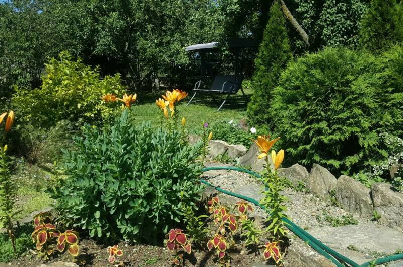 Изображение Изображение гостиницы &quot;Гостевой дом «Цветущий сад»&quot; #5 #5