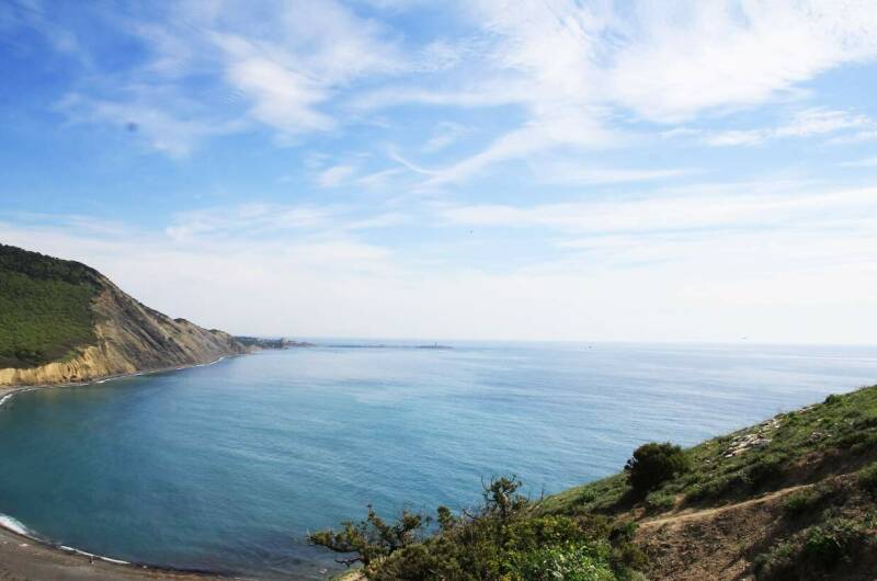 Изображение Изображение гостиницы &quot;Гостевой дом «Цветущий сад»&quot; #7 #7