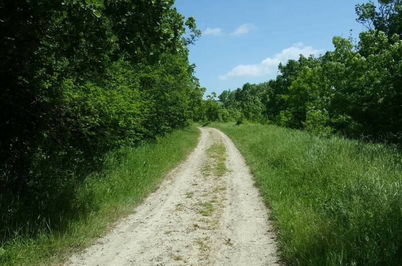 Изображение Изображение гостиницы &quot;Гостевой дом «Цветущий сад»&quot; #8 #8