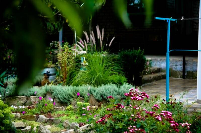 Изображение Изображение отеля / гостиницы "Гостевой дом «Цветущий сад»" #11 #9