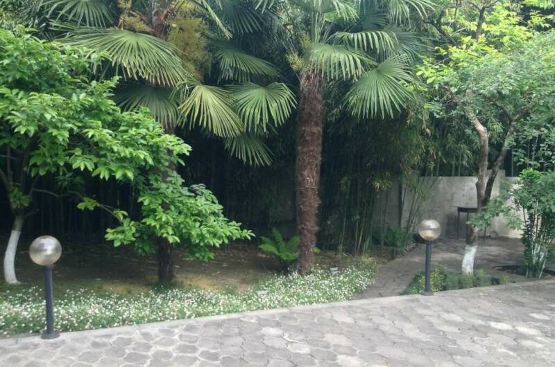 Изображение Изображение гостиницы "Частный дом «Бамбуковый рай»" #6 #6