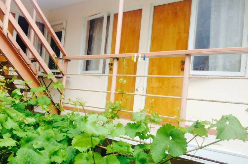 Изображение Изображение гостиницы "Гостевой дом «Софья»" #1 #1