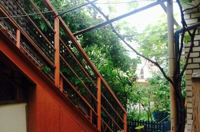 Изображение Изображение отеля / гостиницы "Гостевой дом «Софья»" #10 #8