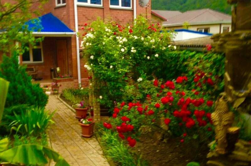 Изображение Изображение гостиницы &quot;Гостевой дом «У Дмитрия»&quot; #6 #6