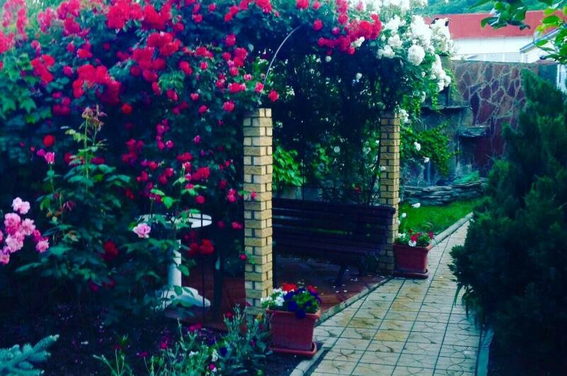 Изображение Изображение гостиницы &quot;Гостевой дом «У Дмитрия»&quot; #7 #7