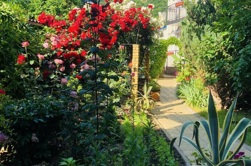 Изображение Изображение отеля / гостиницы "Гостевой дом «У Дмитрия»" #11 #9