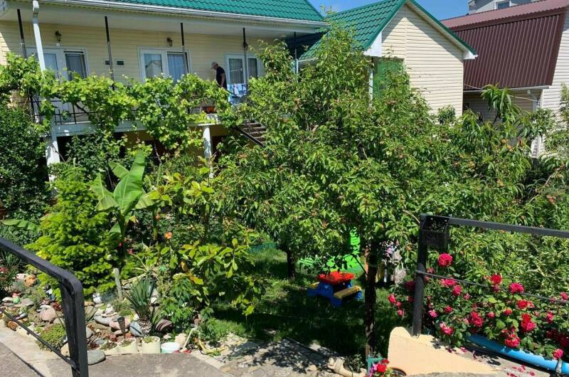 Изображение Изображение гостиницы "Гостевой дом «Чайка»" #1 #1