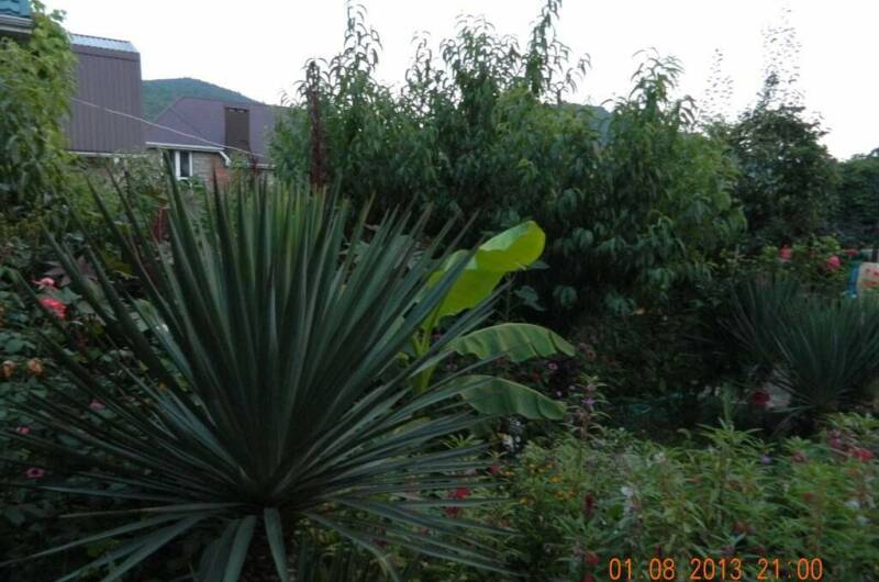 Изображение Изображение гостиницы "Гостевой дом «Чайка»" #2 #2