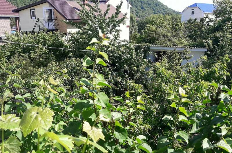 Изображение Изображение гостиницы "Гостевой дом «Чайка»" #5 #5