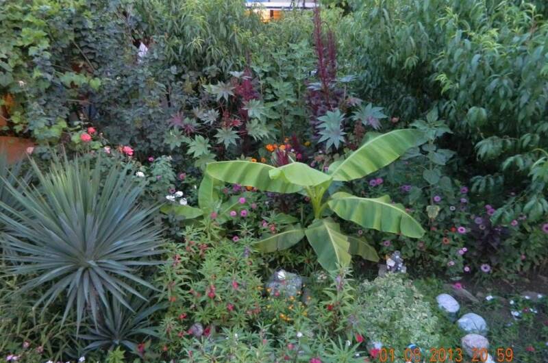 Изображение Изображение отеля / гостиницы "Гостевой дом «Чайка»" #11 #9