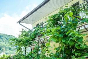 Изображение Гостевой дом «Приморский» #2