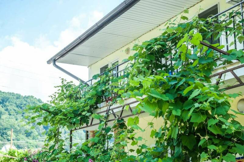 Изображение Изображение гостиницы &quot;Гостевой дом «Приморский»&quot; #1 #1