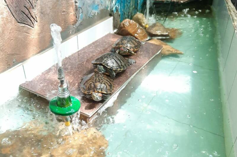 Изображение Изображение отеля / гостиницы "Гостевой дом «У Ивана»" #11 #9