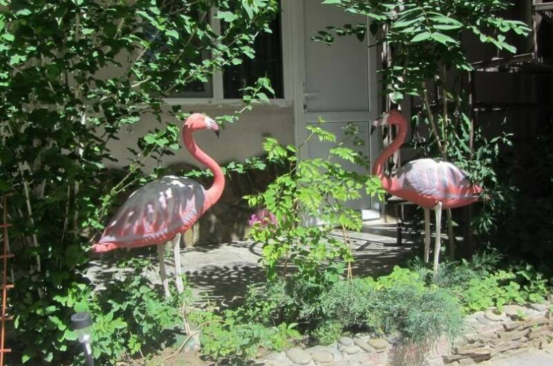 Изображение Изображение гостиницы "Гостевой дом «Розовый фламинго»" #8 #8
