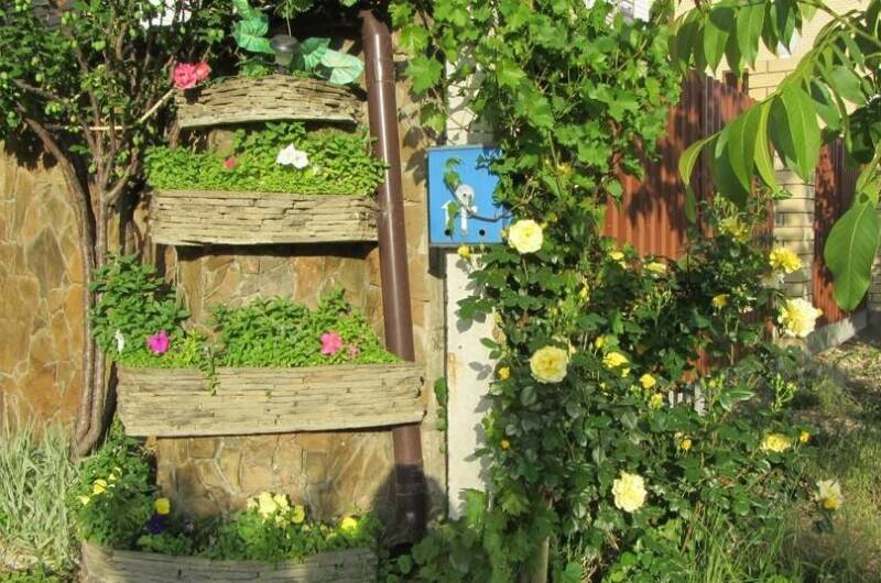 Изображение Изображение отеля / гостиницы "Гостевой дом «Розовый фламинго»" #10 #8