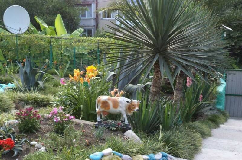 Изображение Изображение гостиницы "Гостевой дом «Цветочный рай»" #8 #8