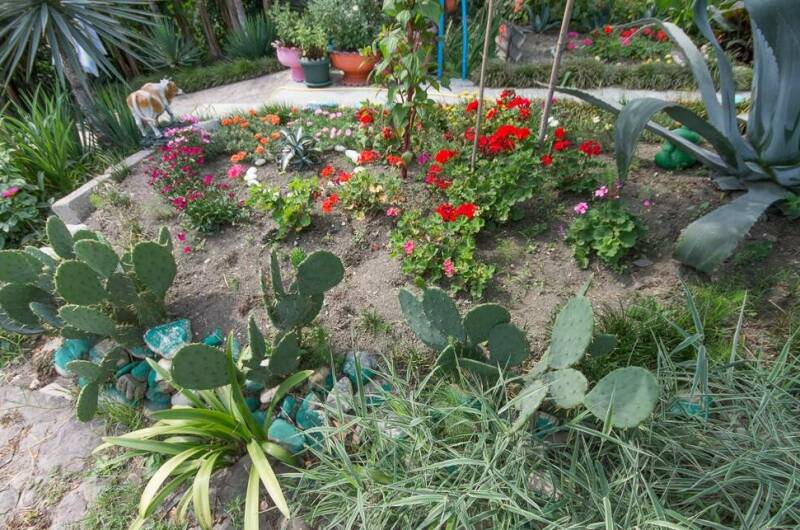 Изображение Изображение отеля / гостиницы "Гостевой дом «Цветочный рай»" #10 #8