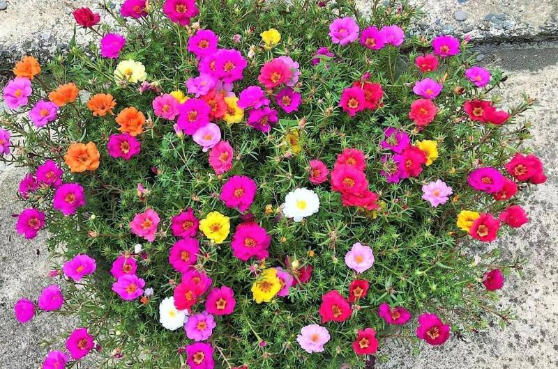 Изображение Изображение гостиницы "Гостевой дом «Жанна»" #5 #5