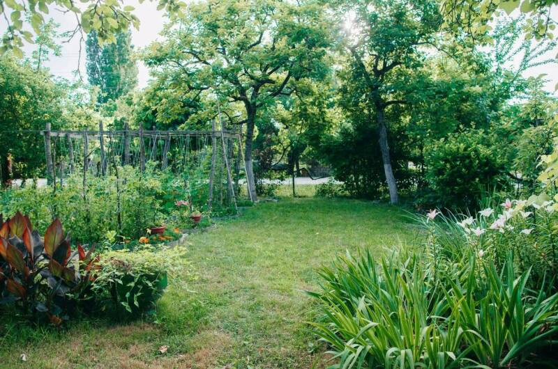 Изображение Изображение гостиницы "Частный дом «Grozde»" #6 #6