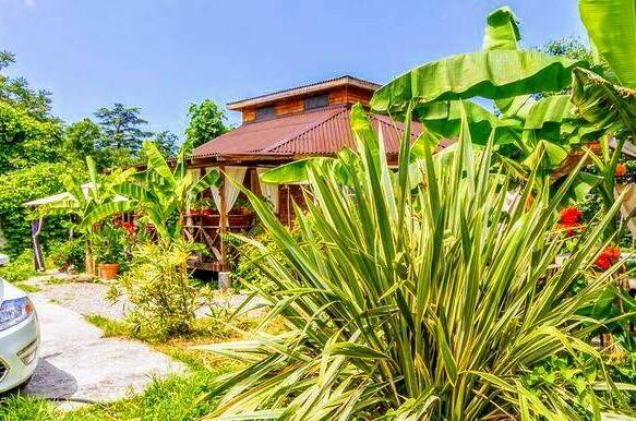 Изображение Изображение гостиницы "Гостевой дом «Бунгало»" #1 #1