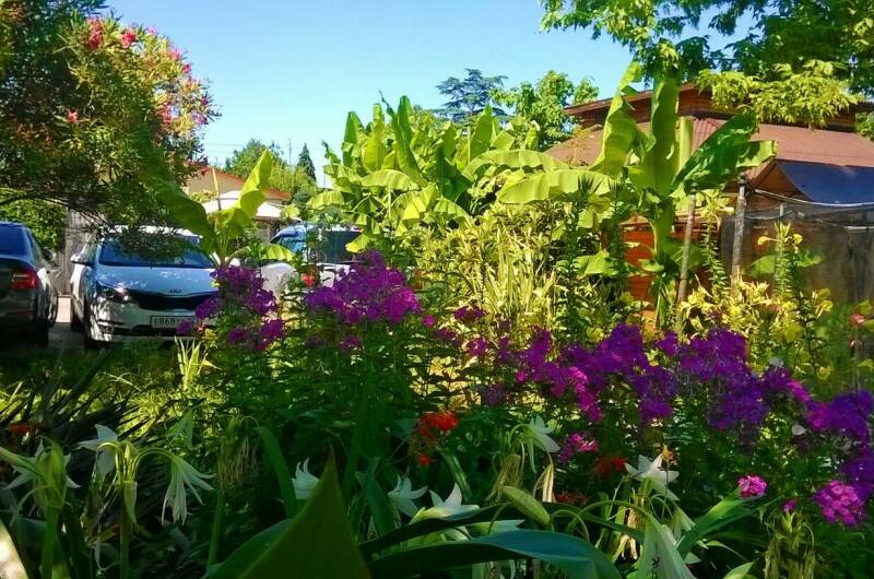 Изображение Изображение гостиницы "Гостевой дом «Бунгало»" #4 #4