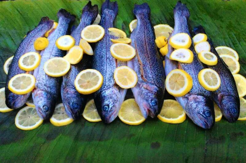 Изображение Изображение гостиницы "Гостевой дом «Бунгало»" #8 #8