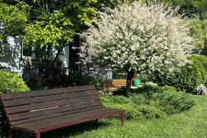 Изображение Гостевой дом «У Вероники» #6