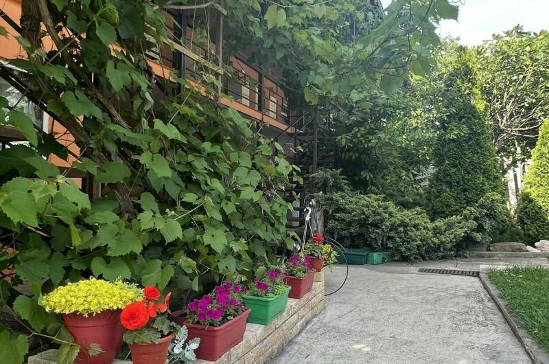 Изображение Изображение отеля / гостиницы "Гостевой дом «У Вероники»" #11 #9