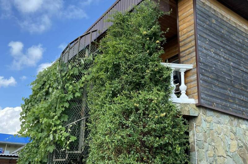 Изображение Изображение гостиницы "Гостиница «Колибри»" #1 #1