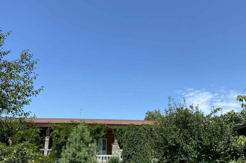 Изображение Изображение гостиницы "Гостиница «Колибри»" #2 #2