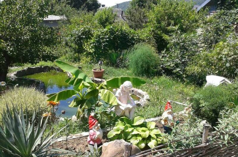 Изображение Изображение гостиницы "Гостиница «Колибри»" #5 #5