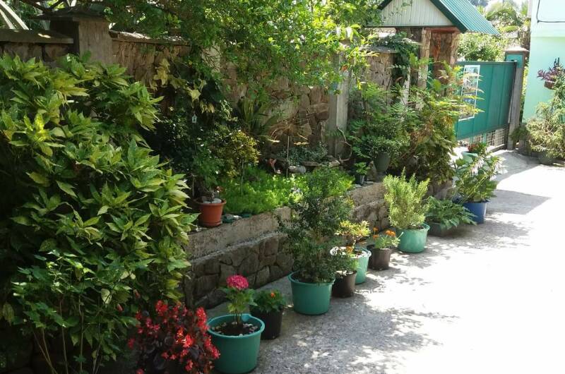 Изображение Изображение отеля / гостиницы "Гостевой дом «На фруктовой»" #11 #9