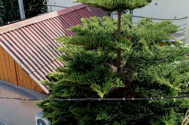 Изображение Изображение гостиницы "Гостевой дом «Волна»" #5 #5