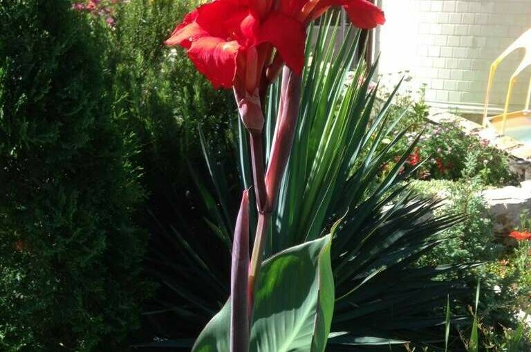 Изображение Изображение отеля / гостиницы "Гостевой дом «Вилла Татьяна»" #11 #9