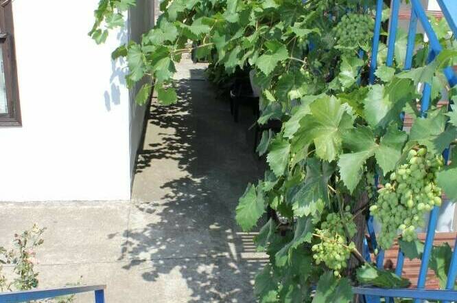 Изображение Изображение гостиницы "Частный сектор на Комсомольской 48" #2 #2