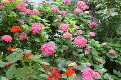 Изображение Изображение отеля / гостиницы "Гостевой дом «Арианна»" #10 #8