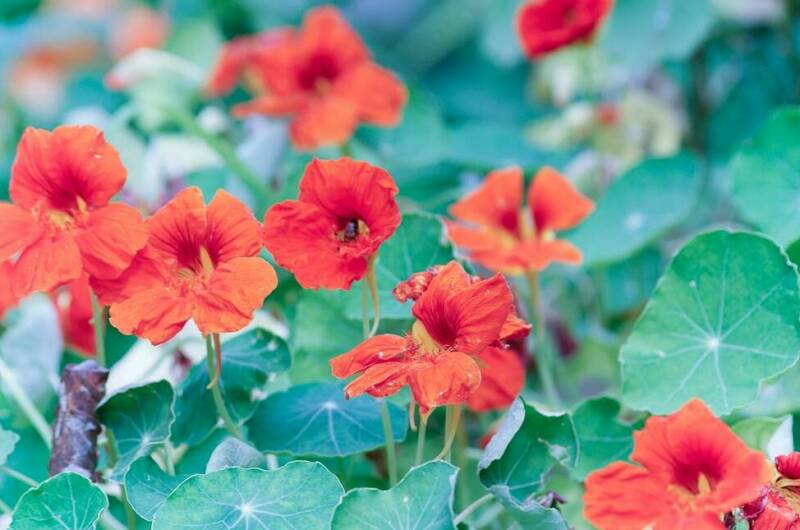 Изображение Изображение гостиницы &quot;Гостевой дом на Кольцевой 3&quot; #2 #2